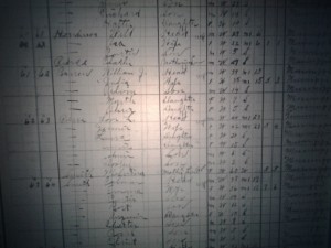 1910 Census Report